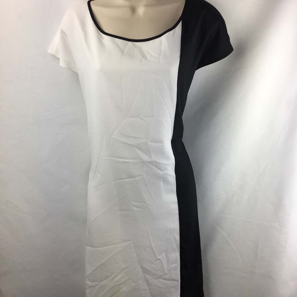 Express Dress - Picture 2 of 4